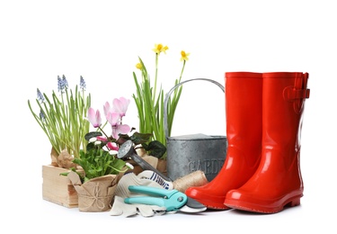 Photo of Composition with plants and gardening tools on white background