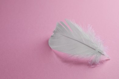 Photo of Fluffy white feather on pink background. Space for text
