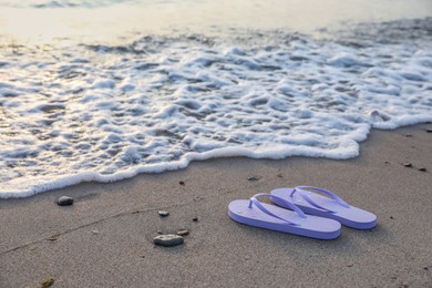 Photo of Stylish lilac flip flops on sand near sea. Space for text