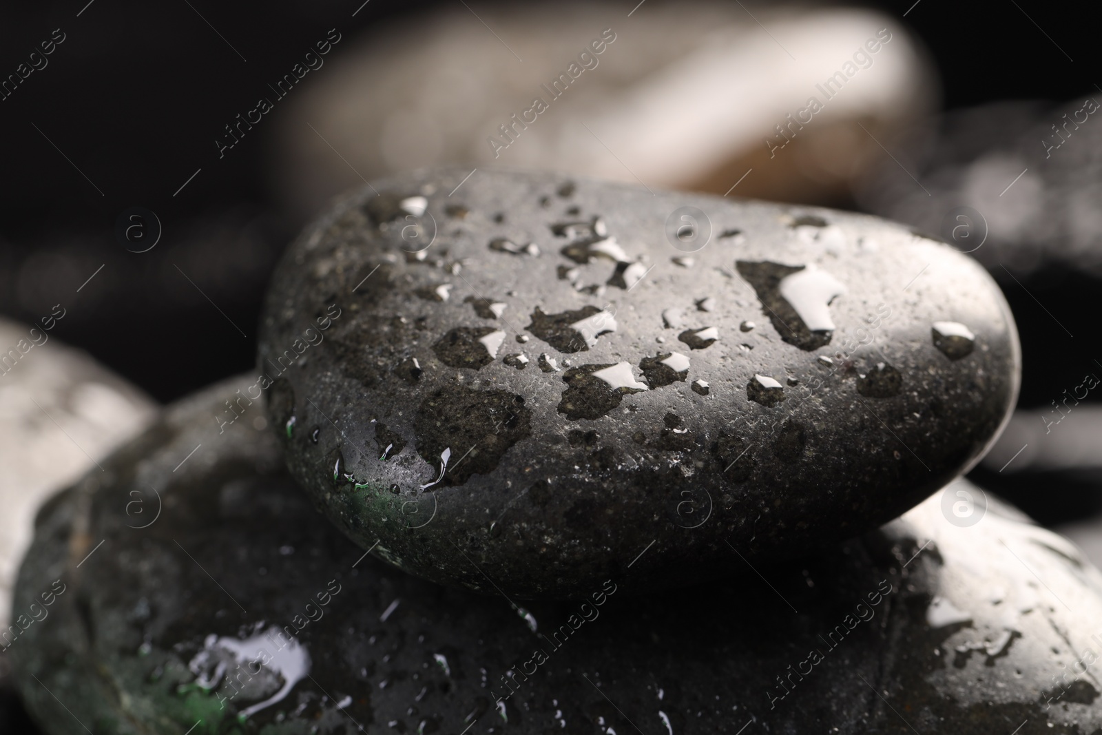 Photo of Grey spa stones with water drops on blurred background, closeup