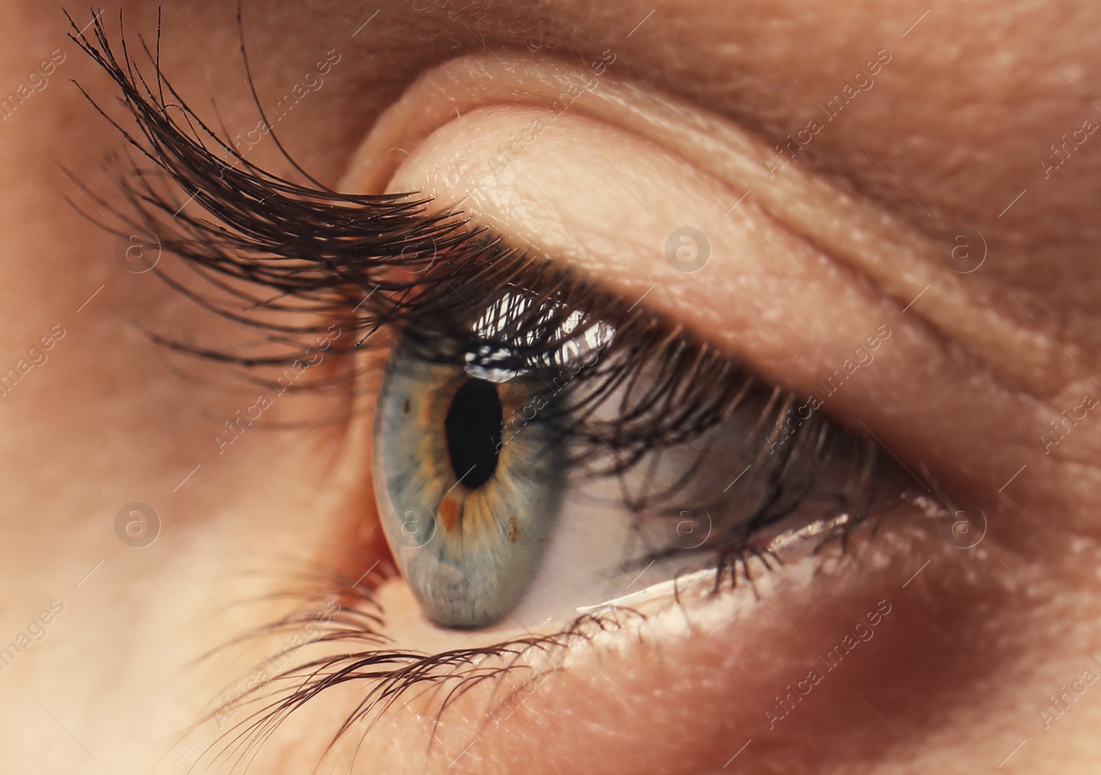 Image of Closeup view of woman with beautiful eye