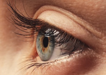 Closeup view of woman with beautiful eye