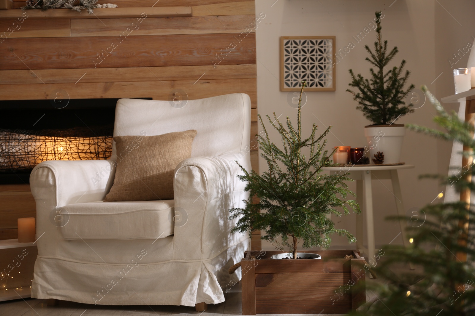 Photo of Potted fir trees and Christmas decorations in room with fireplace. Stylish interior design