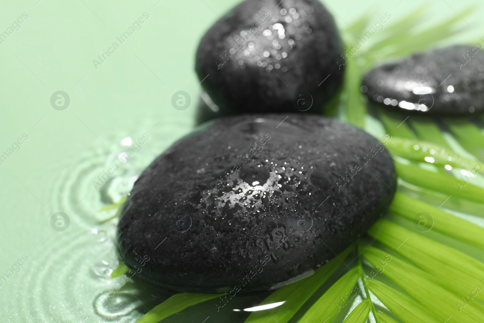 Photo of Spa stones and palm leaves in water on light green background, closeup