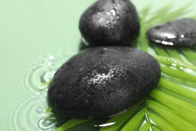 Photo of Spa stones and palm leaves in water on light green background, closeup