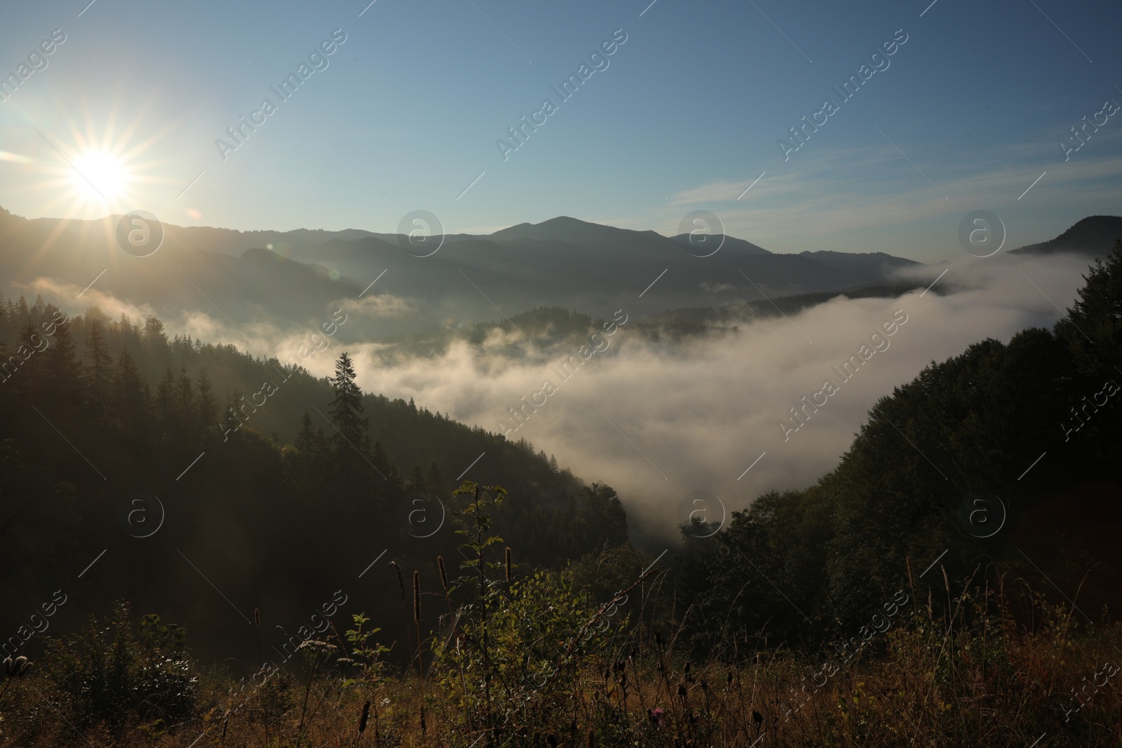 Photo of Beautiful view of mountains covered with fog at sunrise