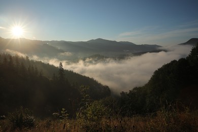 Photo of Beautiful view of mountains covered with fog at sunrise