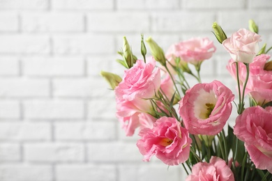 Photo of Eustoma flowers near white brick wall, space for text