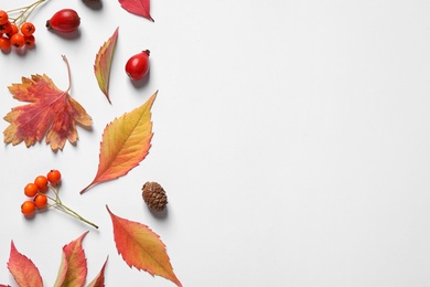 Beautiful composition with autumn leaves on white background, flat lay. Space for text