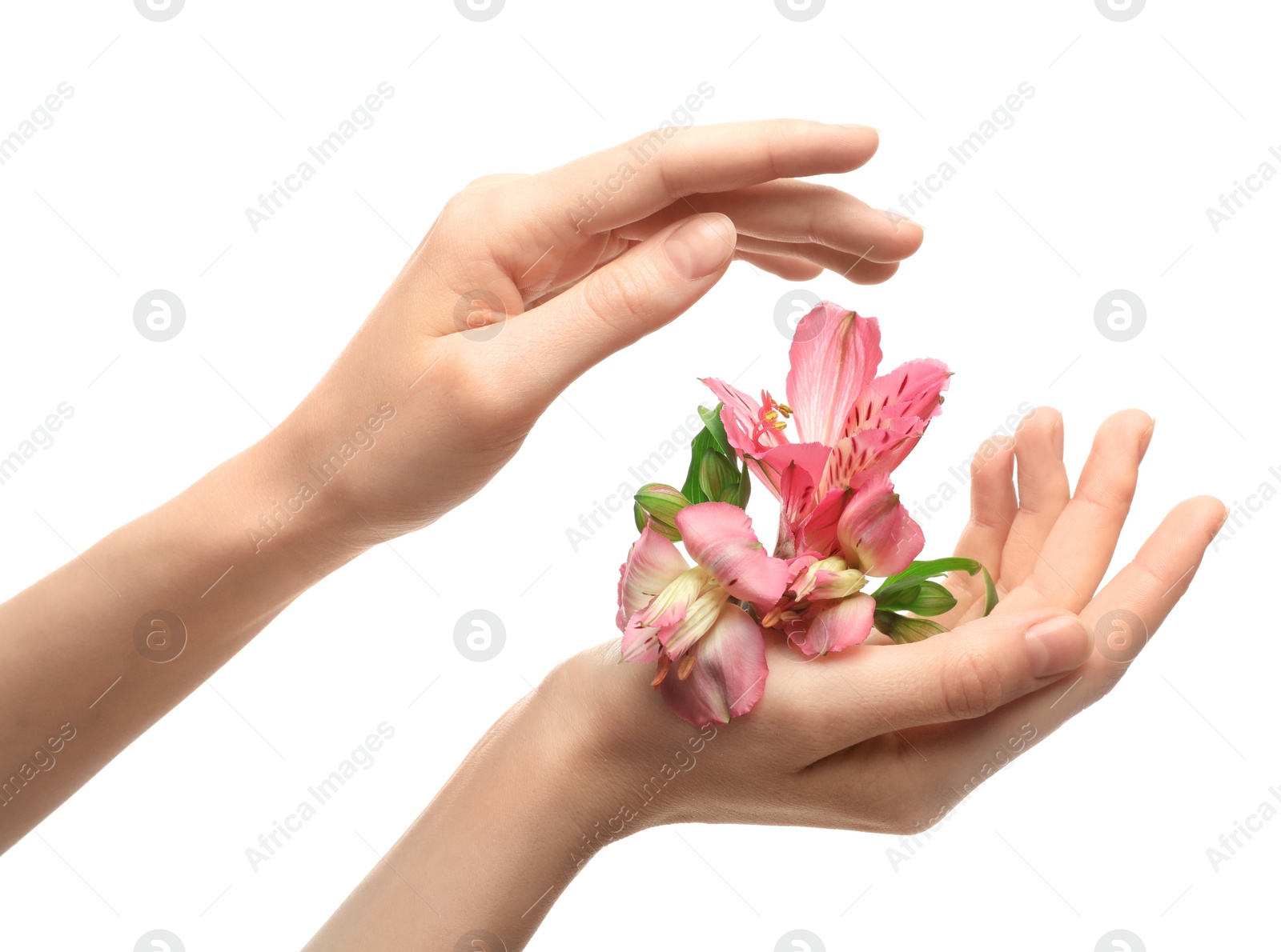 Photo of Woman with beautiful hands on white background, closeup