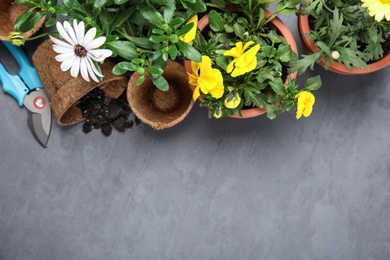 Flat lay composition with gardening equipment and flowers on color background, space for text