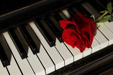 Photo of Beautiful red rose on piano keys, closeup. Romantic music