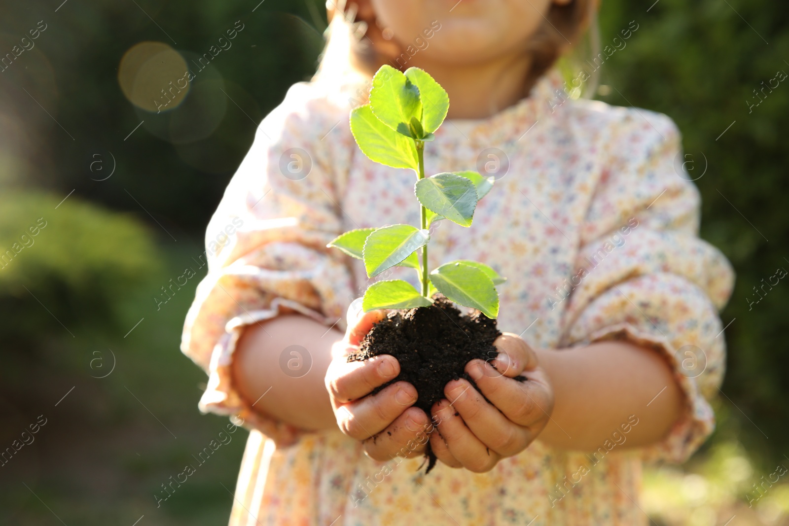 Photo of Little girl holding tree seedling outdoors, closeup