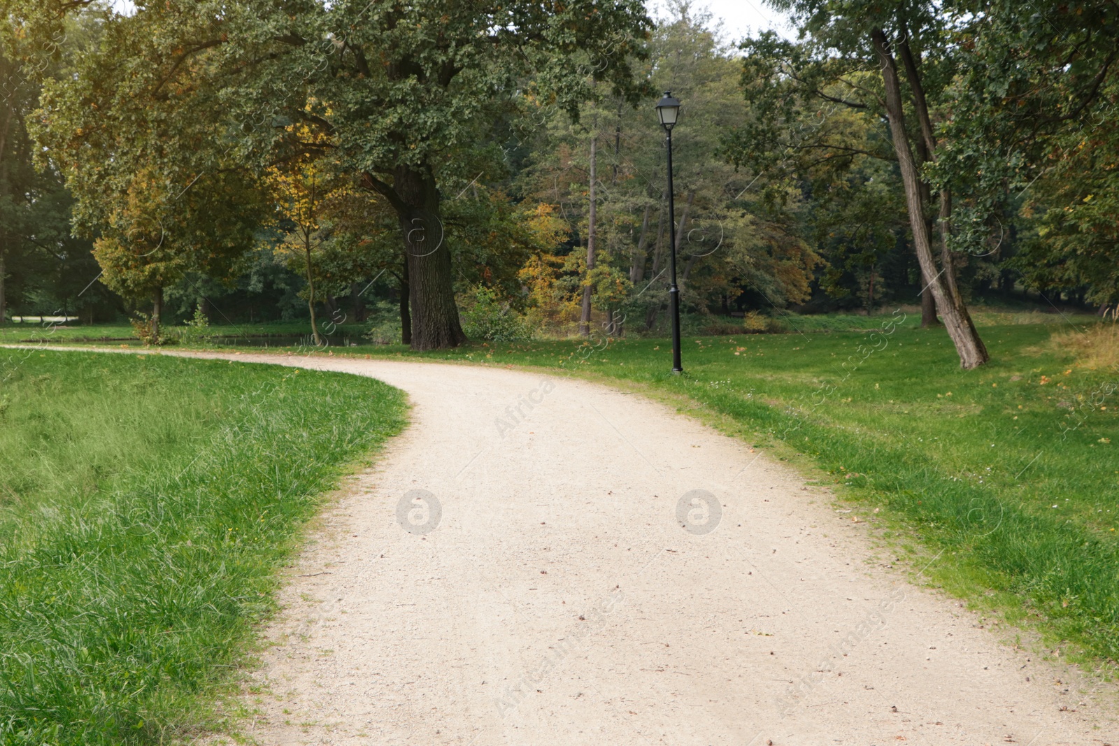 Photo of Beautiful public city park with pathway and green grass