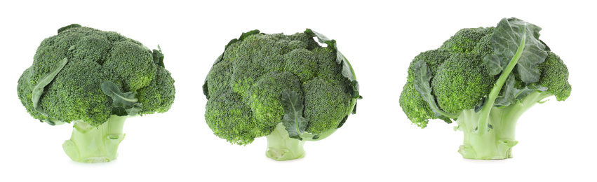 Image of Set of fresh green broccoli on white background, banner design 