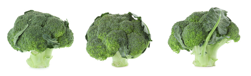 Set of fresh green broccoli on white background, banner design 