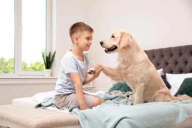 Photo of Cute little child with his pet on bed at home