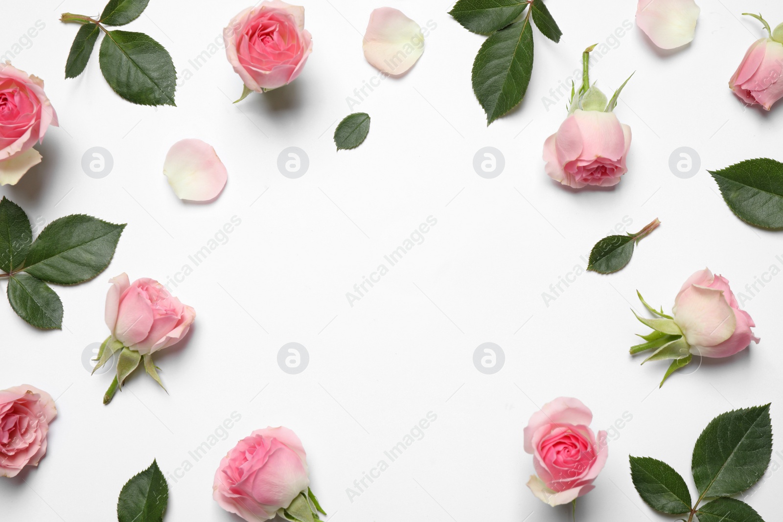 Photo of Frame made of beautiful flowers on white background, top view with space for text. Floral card design