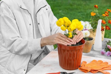 Photo of Woman transplanting flowers into pot at table outdoors, closeup