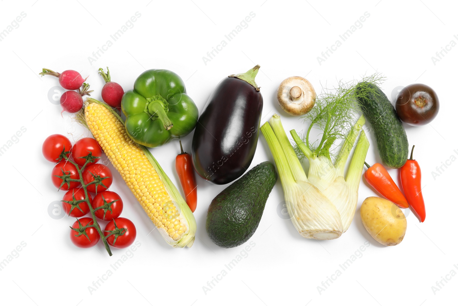 Photo of Many different fresh vegetables on white background, top view