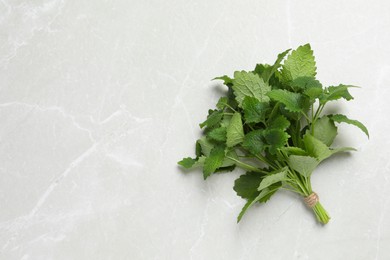 Bunch of fresh lemon balm on light gray marble table, top view. Space for text