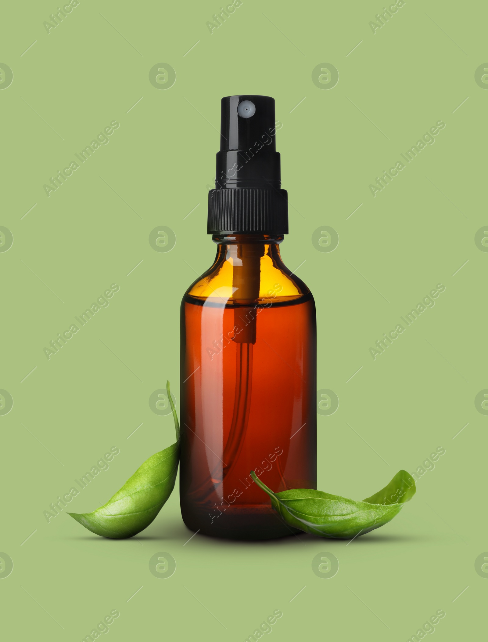 Image of Bottle of basil essential oil and green leaves on pale light green background