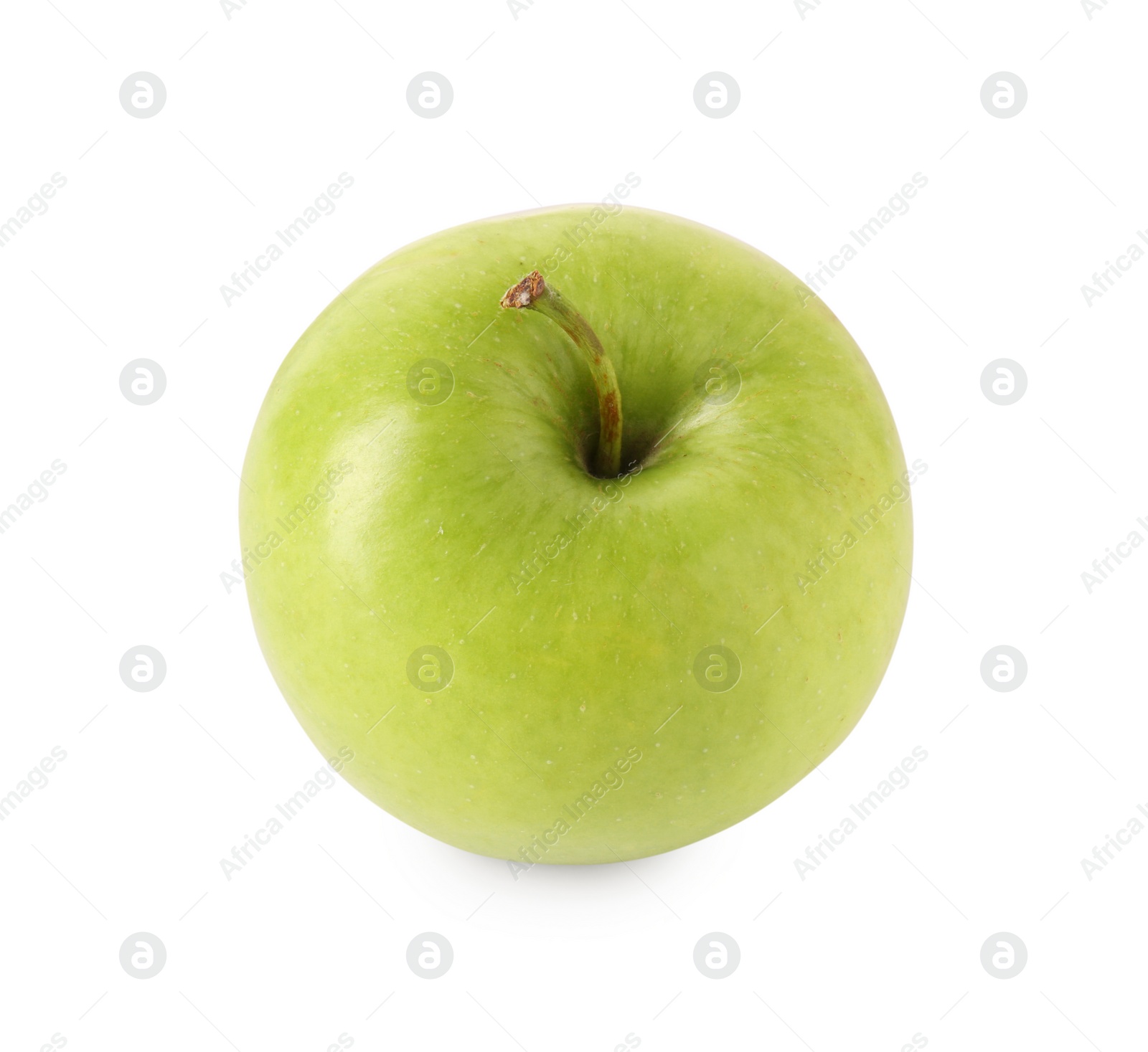 Photo of One ripe green apple isolated on white