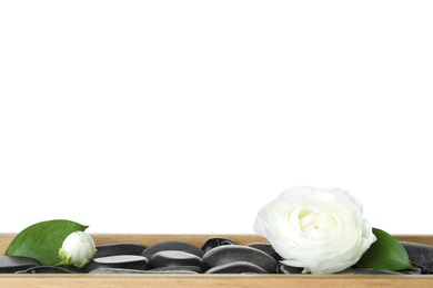 Photo of Wooden tray with spa stones and ranunculus flowers against white background