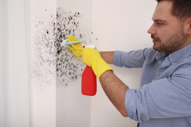 Image of Man in rubber gloves using mold remover and brush on walls in room
