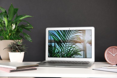 Photo of Houseplants and laptop on table in office interior