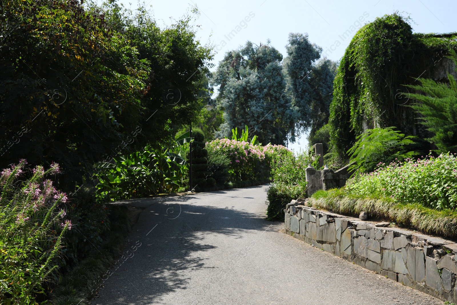 Photo of Picturesque view of park with blooming bushes and trees