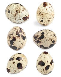 Image of Set with quail eggs on white background