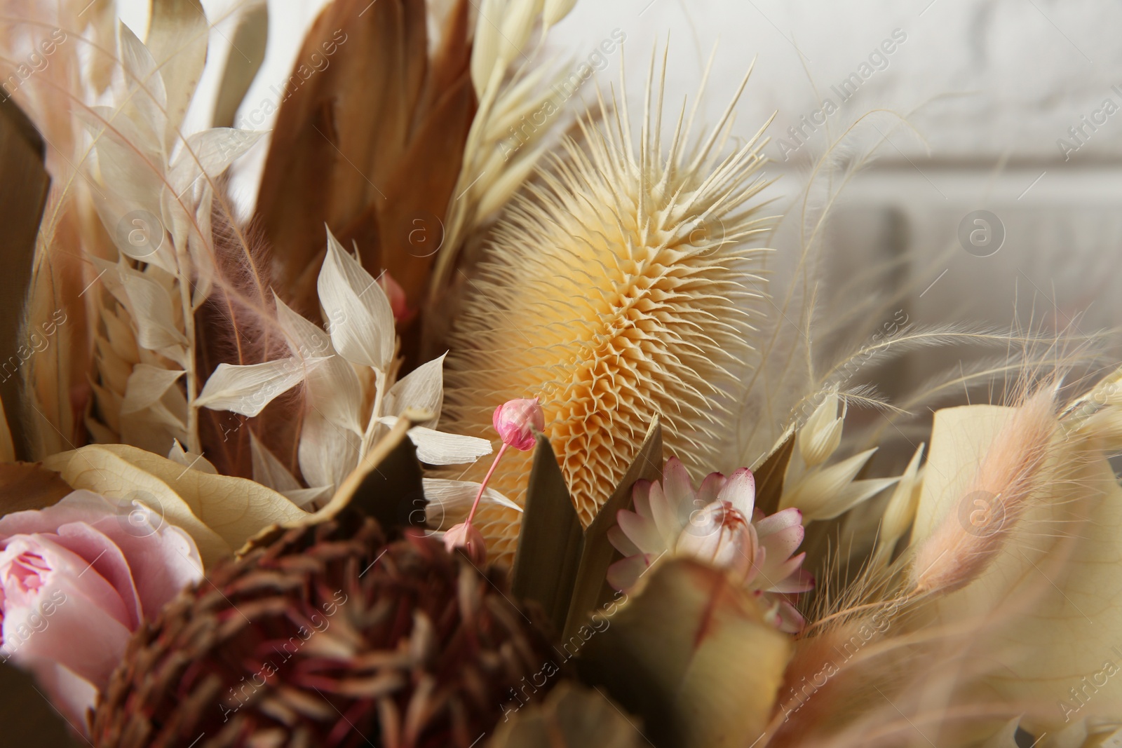 Photo of Beautiful elegant dried flower bouquet, closeup view