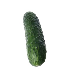 Photo of Fresh ripe green cucumber isolated on white