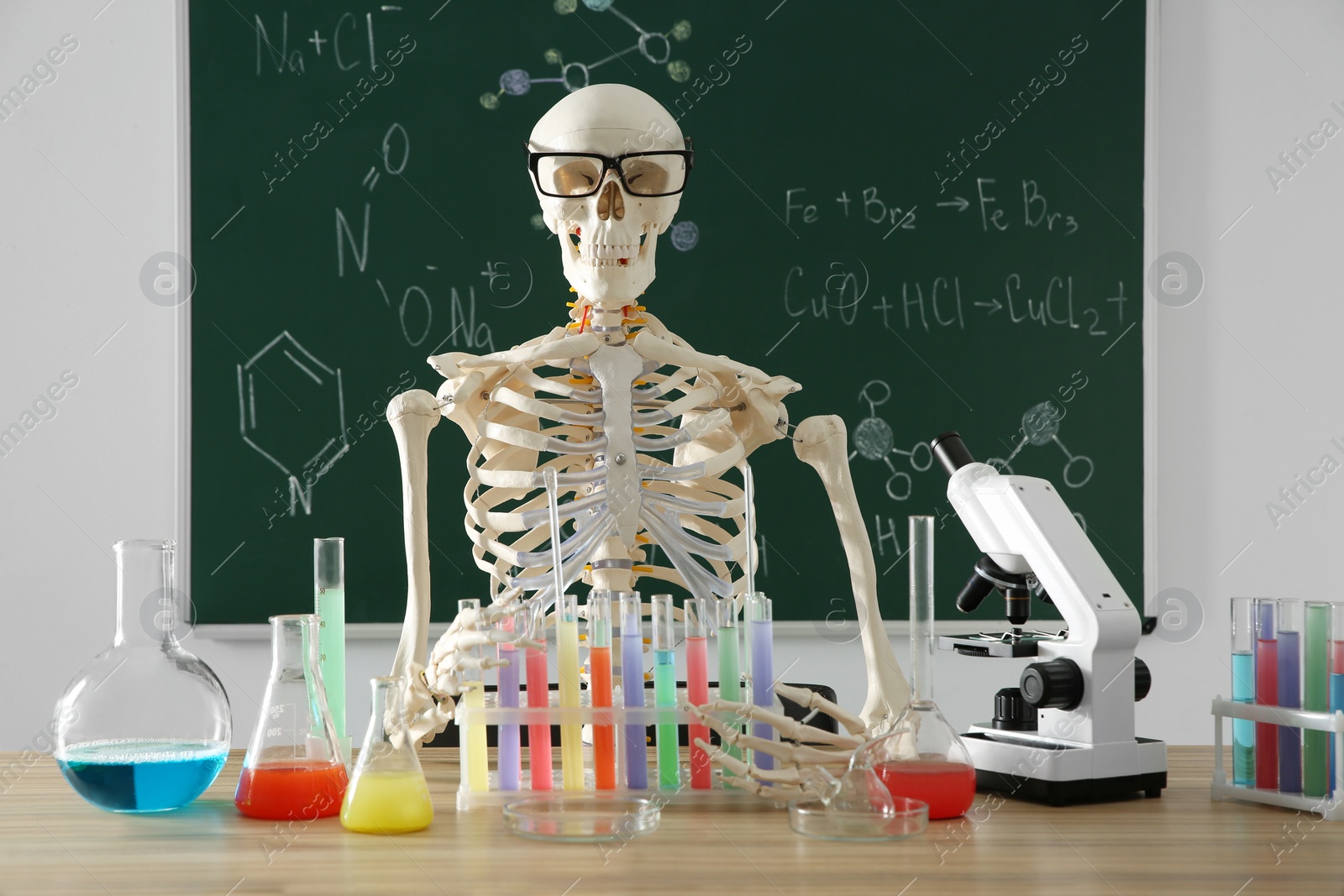 Photo of Skeleton and different chemistry glassware in classroom