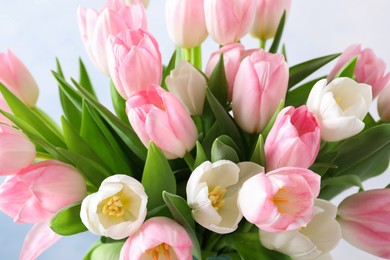 Big bouquet of beautiful tulips, closeup view