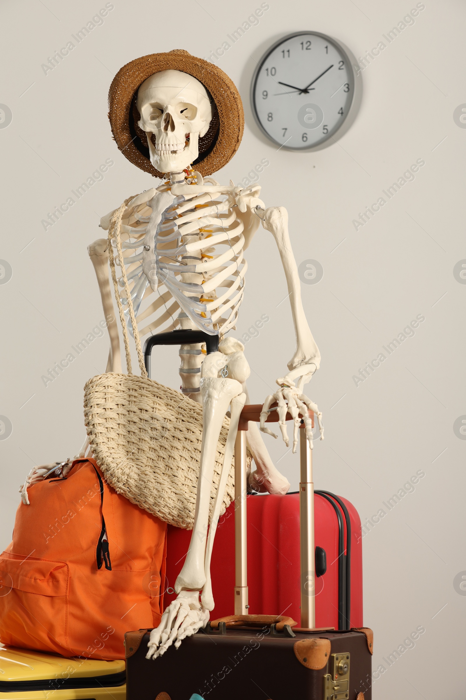 Photo of Waiting concept. Human skeleton in hat with suitcases indoors