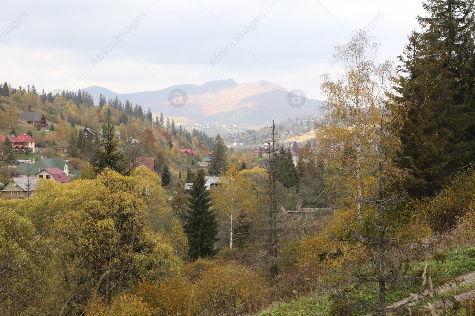Photo of Beautiful view of forest and mountain village on autumn day
