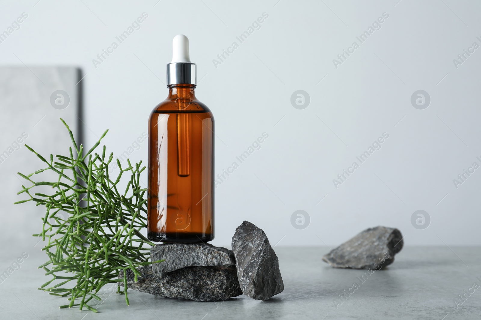 Photo of Bottle of hydrophilic oil, rocks and green plant on light grey table, space for text