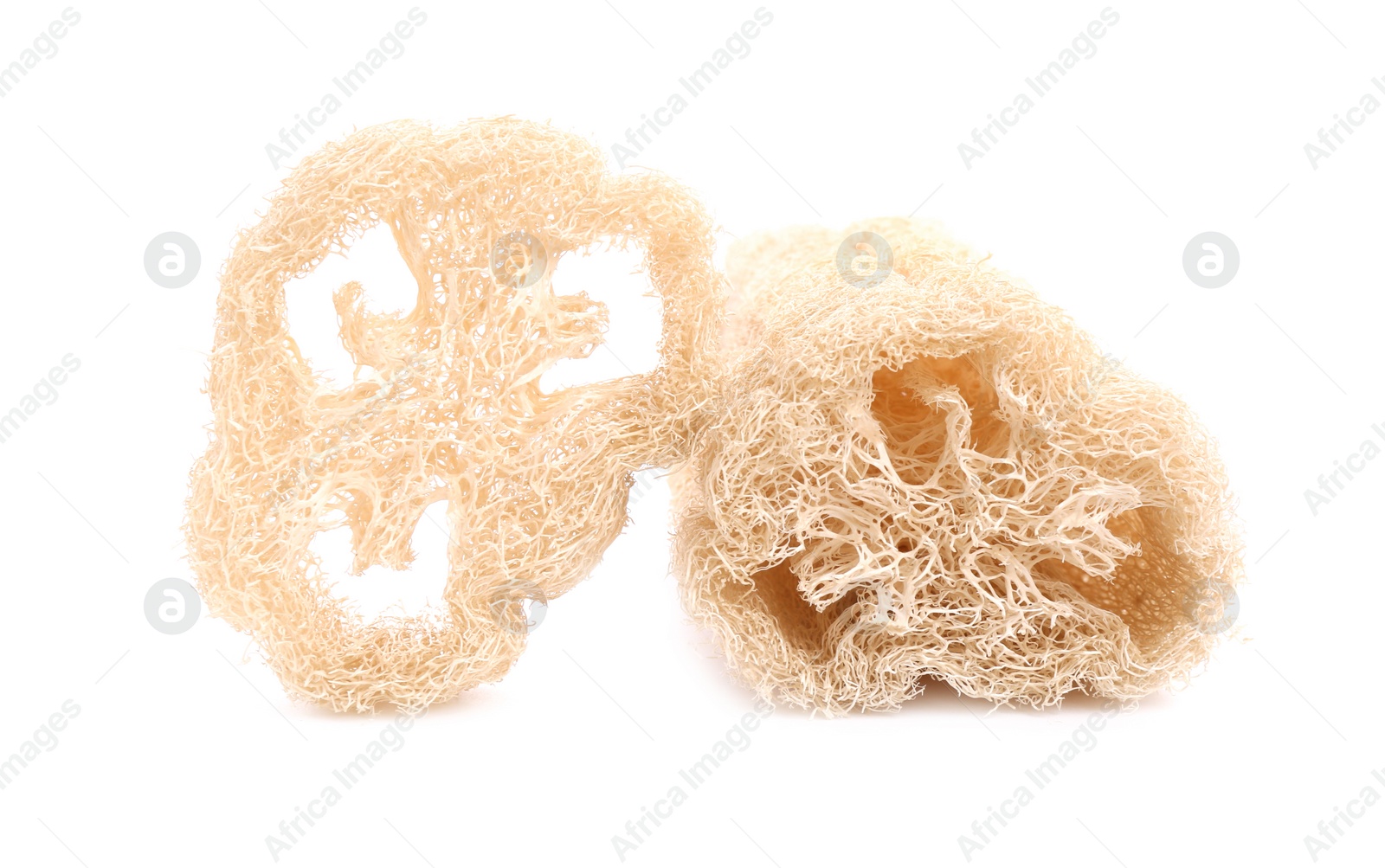 Photo of Loofah sponges isolated on white. Personal hygiene product