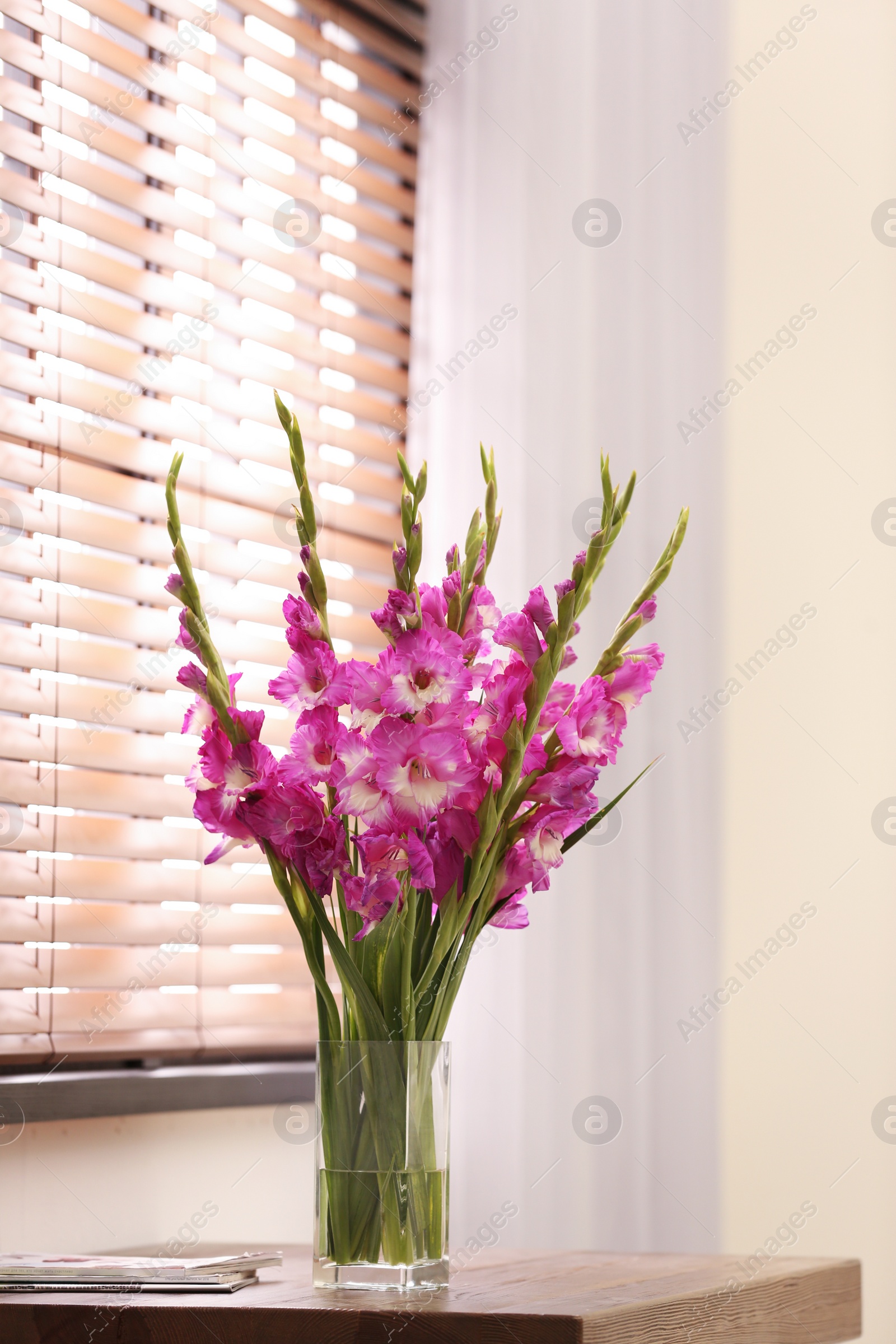 Photo of Vase with beautiful pink gladiolus flowers on wooden table in room, space for text