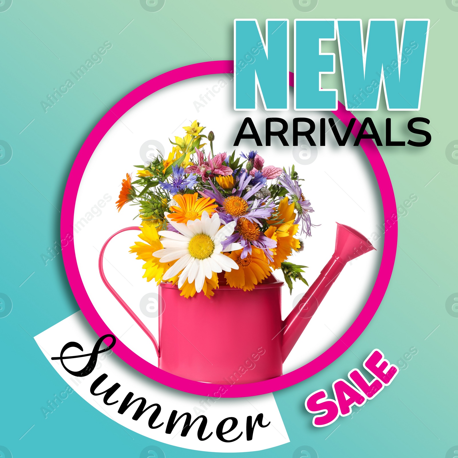 Image of New arrivals. Flyer design with pink watering can, beautiful flowers and text Summer Sale on color background