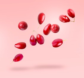 Image of Fresh red dogwood berries falling on pink background