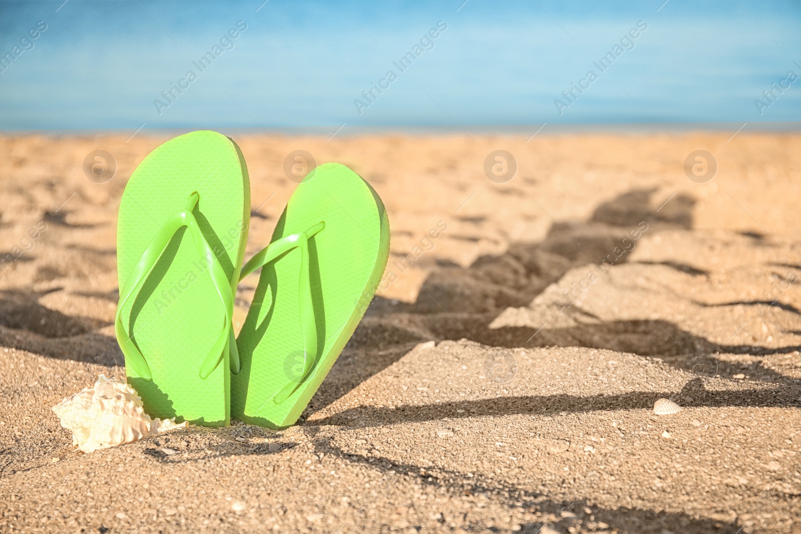 Photo of Flip-flops in sand on beach. Space for text