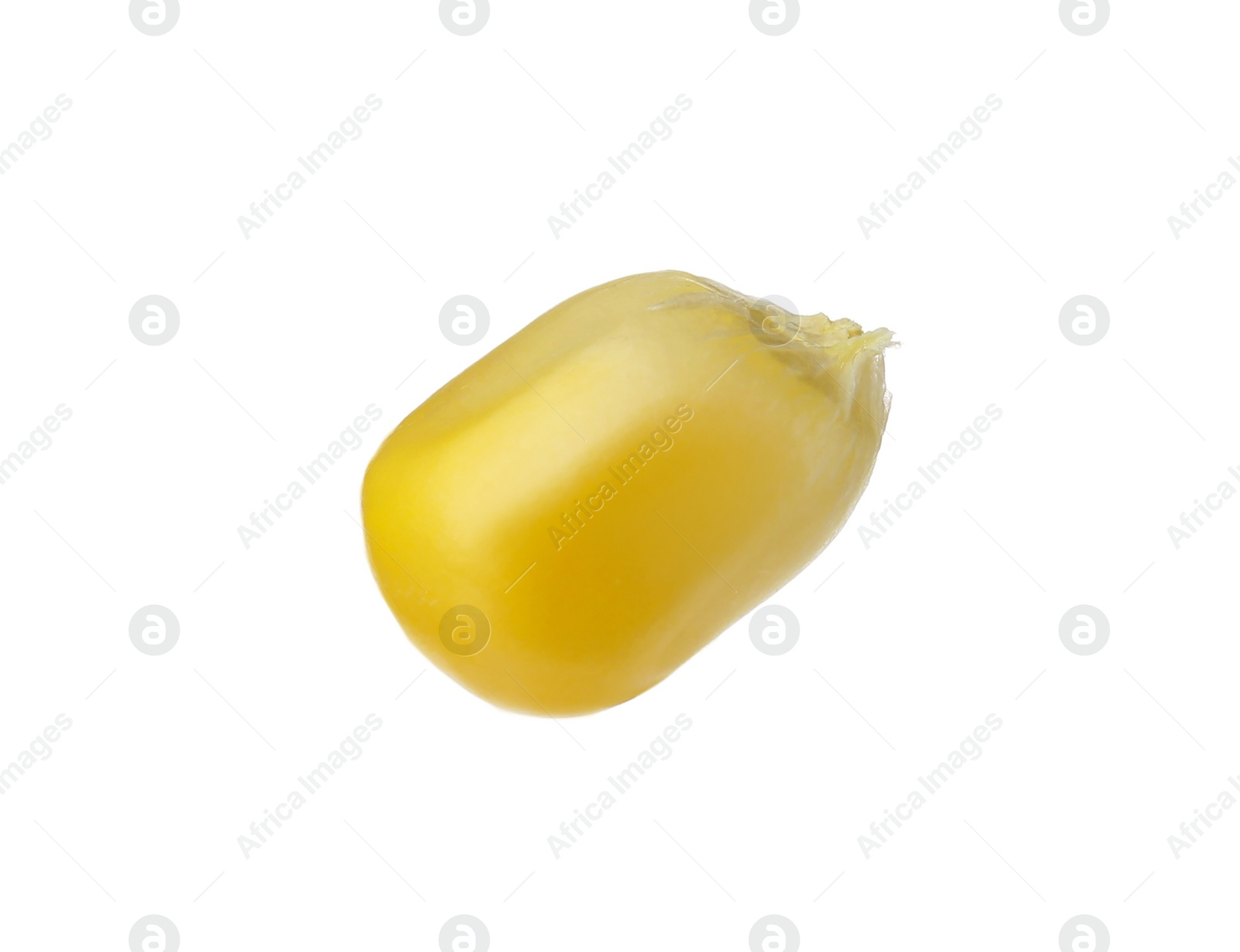 Photo of Small fresh corn kernel on white background