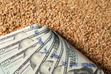 Photo of Dollar banknotes on wheat grains, closeup. Agricultural business