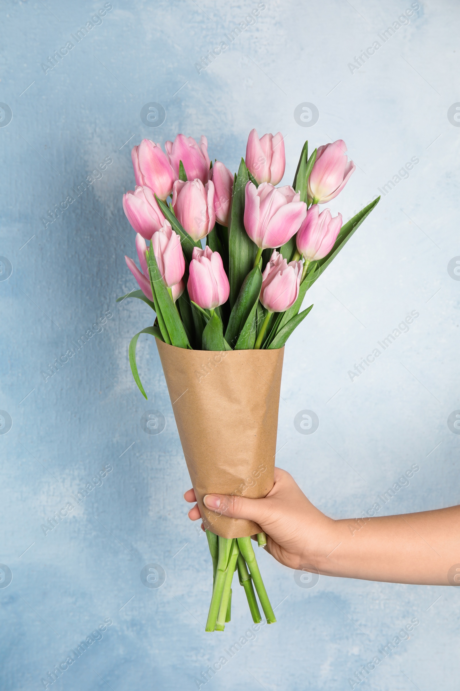 Photo of Woman with beautiful pink spring tulips on light blue background, closeup