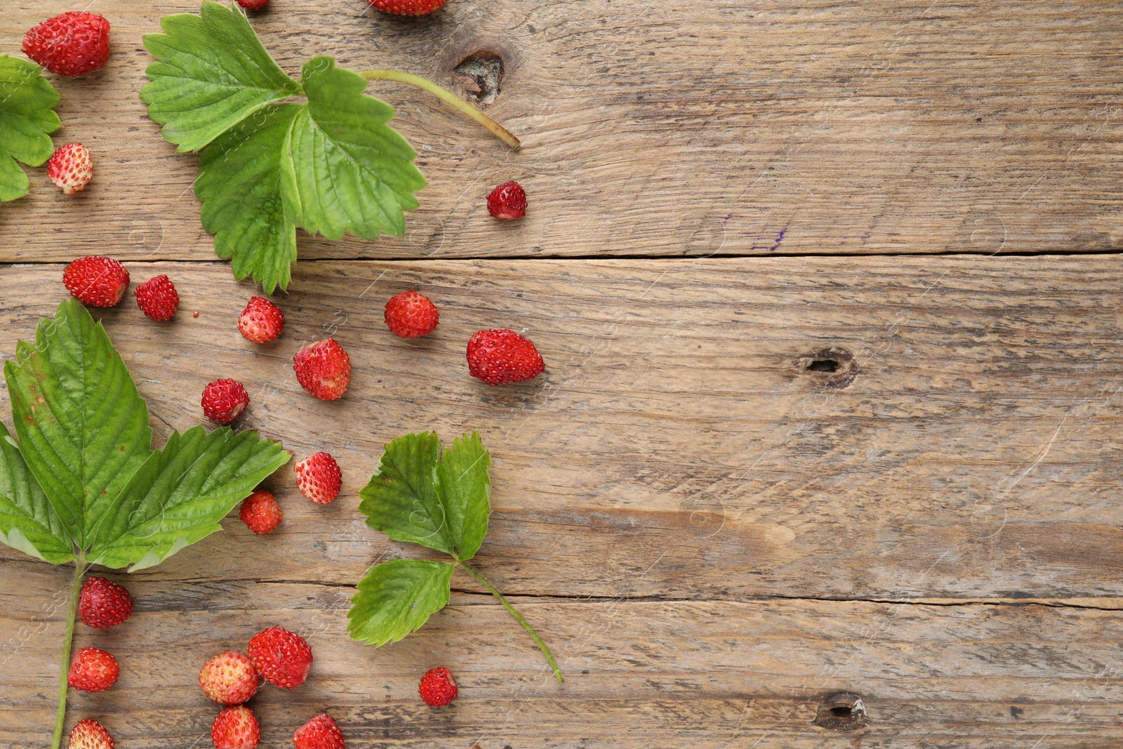 Photo of Many fresh wild strawberries and leaves on wooden table, flat lay. Space for text