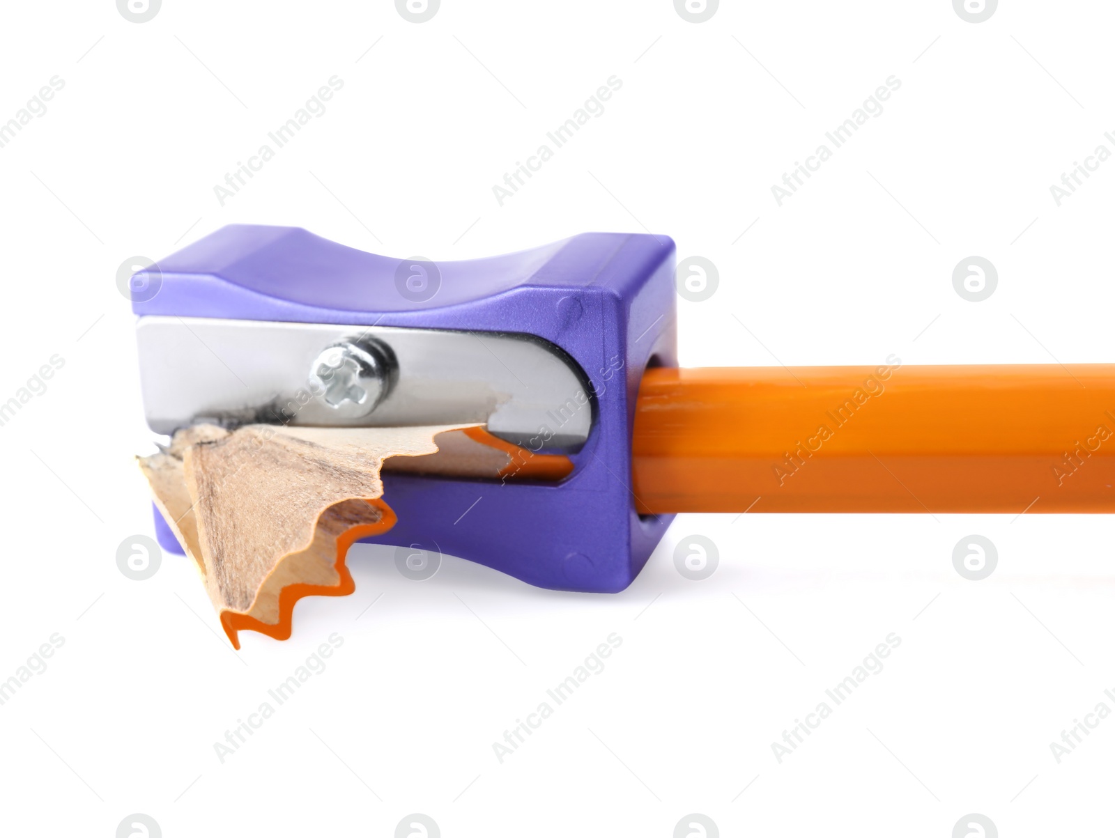 Photo of Violet sharpener with pencil shavings on white background