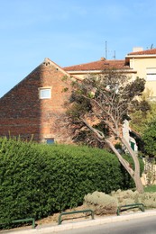 Photo of Beautiful view of street with residential buildings and green plants on sunny day